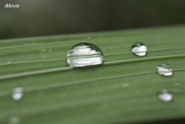 ＦＡ５０Ｆ１．４の楽しみ方を』 ペンタックス FA50mmF1.4 のクチコミ