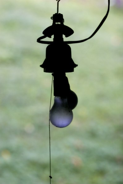 デジタル一眼レフ人気の陰り 価格レポートから クチコミ掲示板 価格 Com