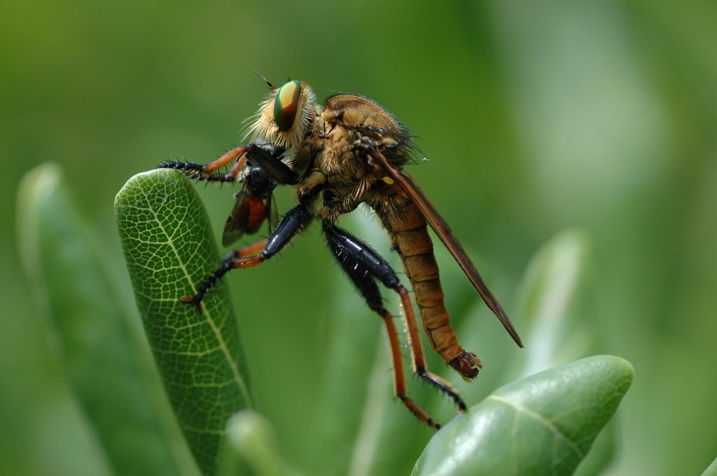 ブロンズ像 純作 ブロンズ像 少女像 置物 高さ約40cm 重さ約4.24㎏ VR8157H
