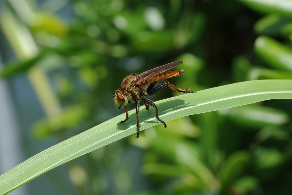 ブロンズ像 純作 ブロンズ像 少女像 置物 高さ約40cm 重さ約4.24㎏ VR8157H