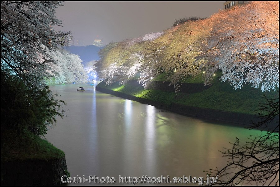 初の夜桜撮影！』 CANON EOS 40D ボディ のクチコミ掲示板 - 価格.com
