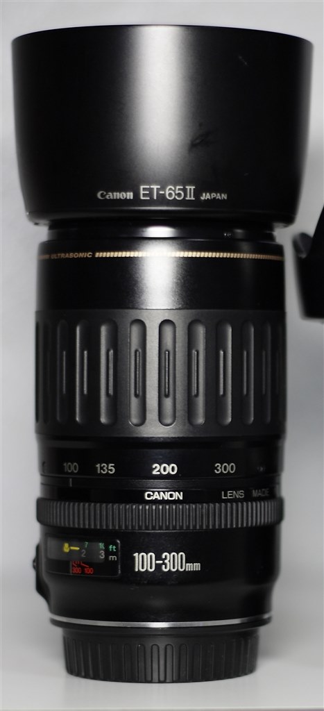 試写あり Canon EF 100-300mm F4.5-5.6 USM 良好 - レンズ(ズーム)