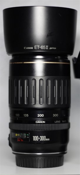 今更ながら…』 CANON EF100-300mm F4.5-5.6 USM のクチコミ掲示板 - 価格.com