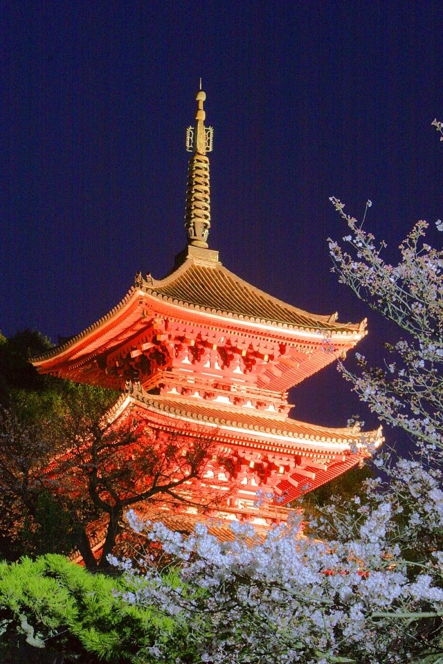 初の夜桜撮影！』 CANON EOS 40D ボディ のクチコミ掲示板