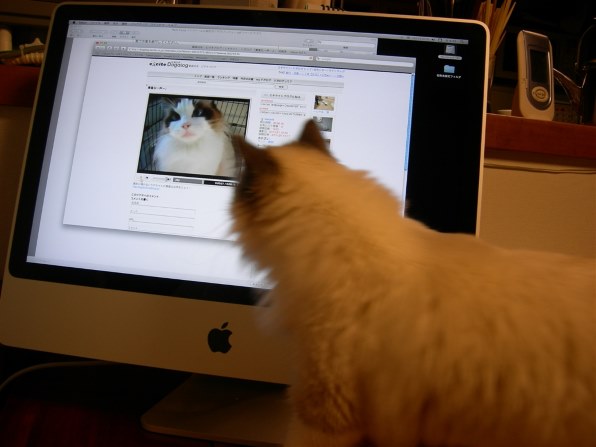 Apple iMac MA876J/A (2000)投稿画像・動画 - 価格.com