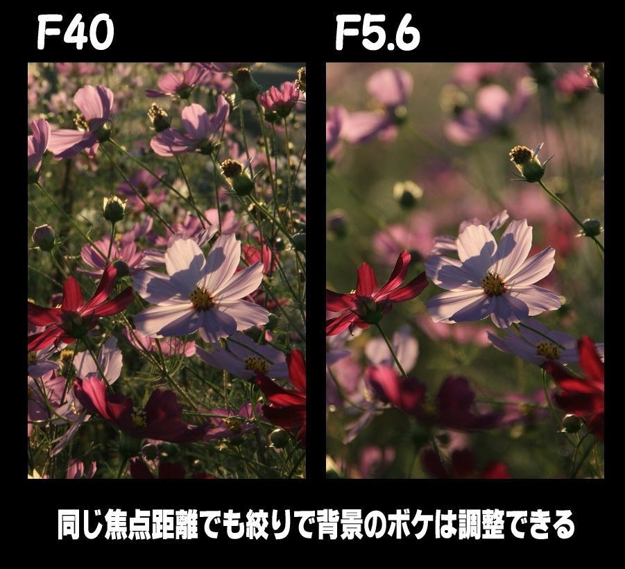 シャッター音、通常撮影について』 CANON EOS Kiss X3 ダブルズーム