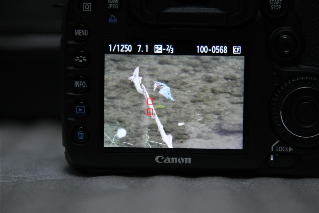 新機能？』 CANON EOS 7D ボディ のクチコミ掲示板 - 価格.com