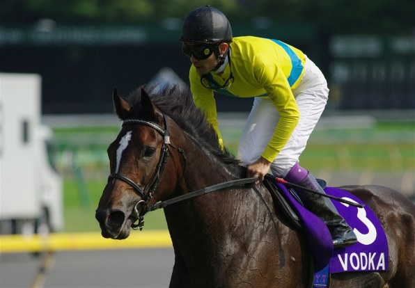 ウォッカ 第74回 祝う 日本ダービー優勝 原寸大ゼッケン