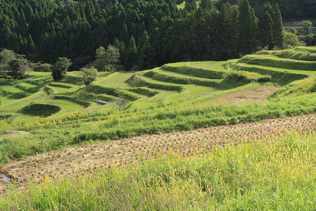 風景写真に最適⭐️ Canon EF 17-40mm F4L USM 広角ズーム 風景写真に最適◎ Canon EF 17-40mm F4L USM CANON EF17-40mm F4L USM