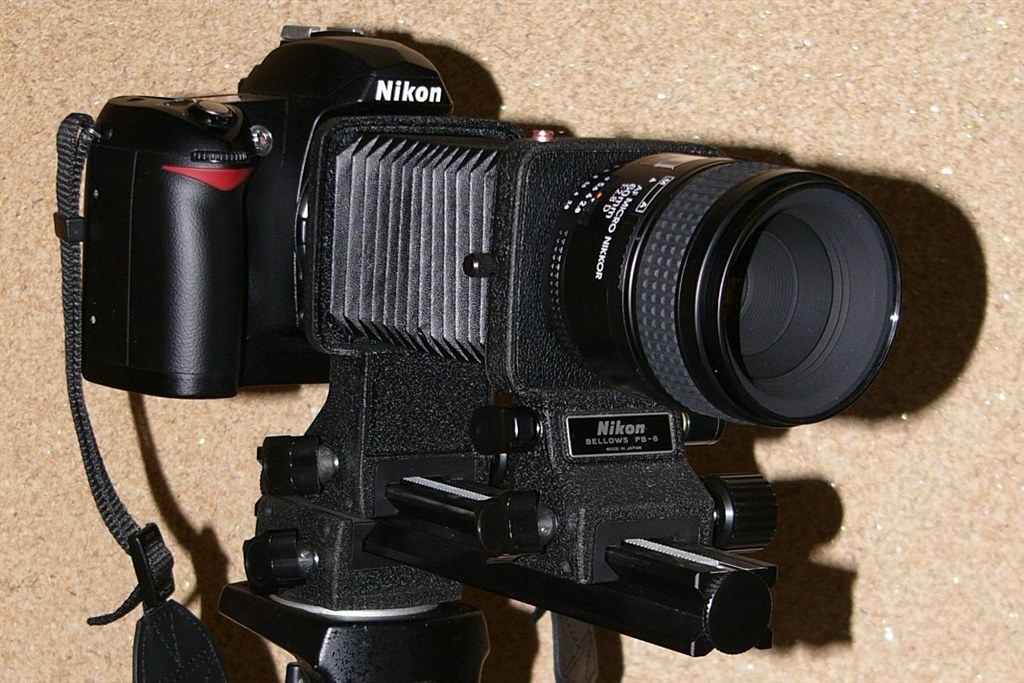 マクロ撮影』 ニコン AI AF Micro-Nikkor 60mm f/2.8D の マクロ撮影』 ニコン AI AF Micro-Nikkor 60mm f/2.8D の