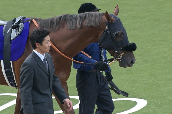 駿馬を語ろう撮ろう！（みんなの輪Ⅱ）』 クチコミ掲示板 - 価格.com