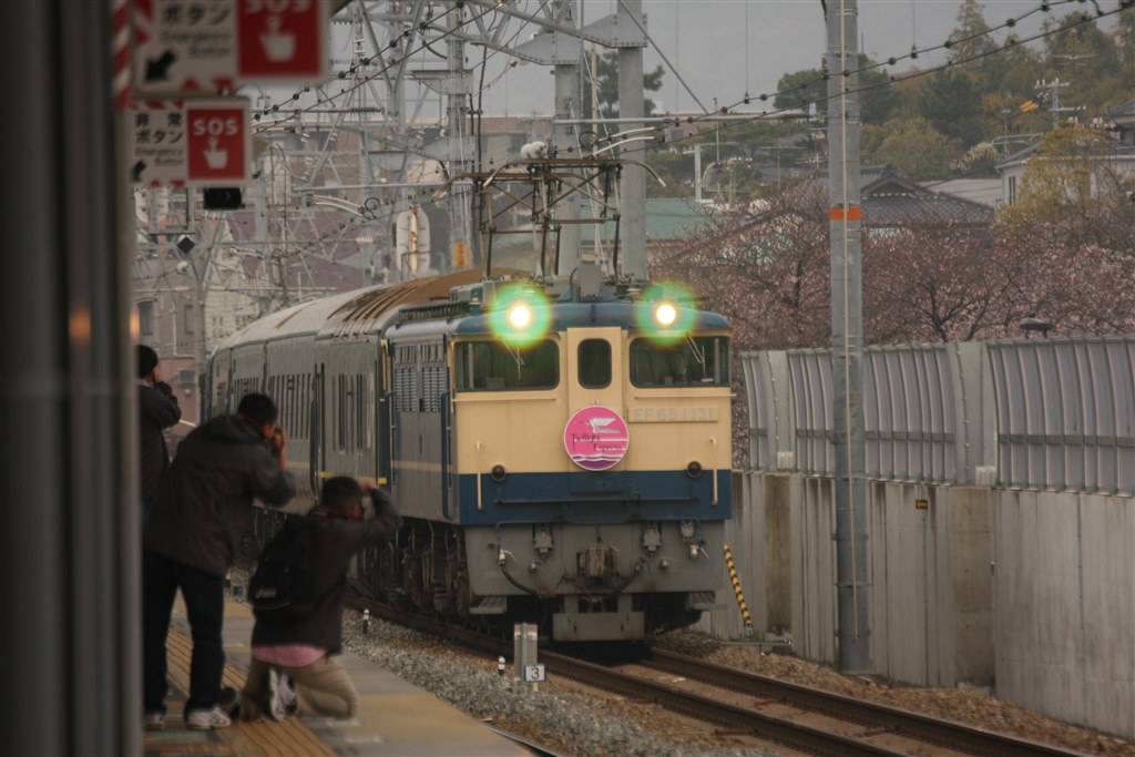 初撮りです。』 CANON EF70-300mm F4.5-5.6 DO IS USM のクチコミ