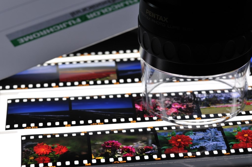 はじめてのフィルム一眼レフ』 ニコン F100 ボディ のクチコミ掲示板