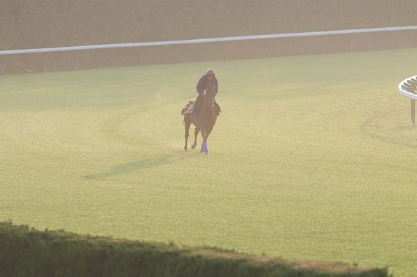 スティンガー 2戦目赤松賞現地的中単勝馬券貴重！