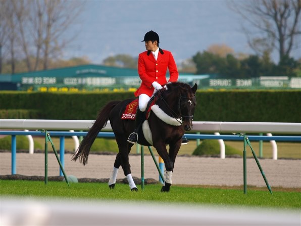 スティンガー 2戦目赤松賞現地的中単勝馬券貴重！