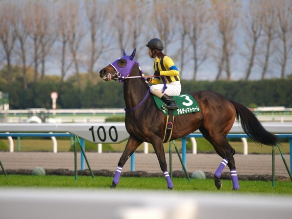 スティンガー 2戦目赤松賞現地的中単勝馬券貴重！