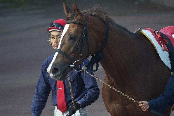 スティンガー 2戦目　赤松賞　現地的中単勝馬券　貴重！ スティンガー 2戦目 赤松賞 現地的中単勝馬券 貴重！