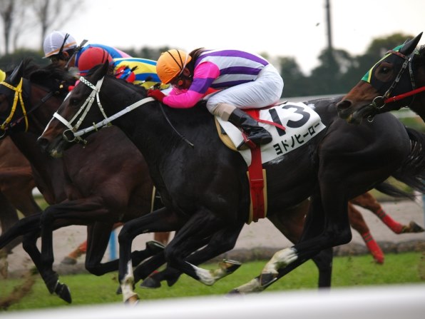 スティンガー 2戦目赤松賞現地的中単勝馬券貴重！