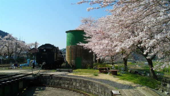 ペンタックス Optio E80投稿画像・動画 - 価格.com