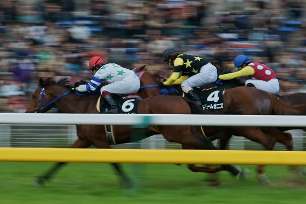 スティンガー 2戦目 赤松賞 現地的中単勝馬券 貴重！ 【公式通販】