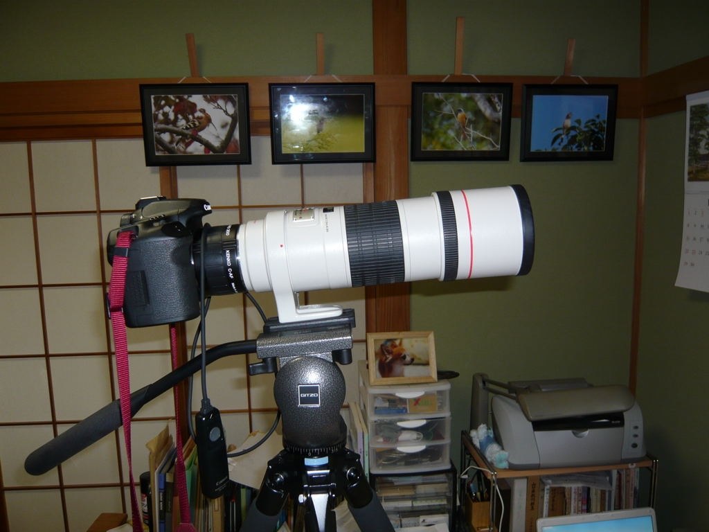 EXTENDER EF2×II』 CANON EF300mm F4L IS USM のクチコミ掲示板 - 価格.com