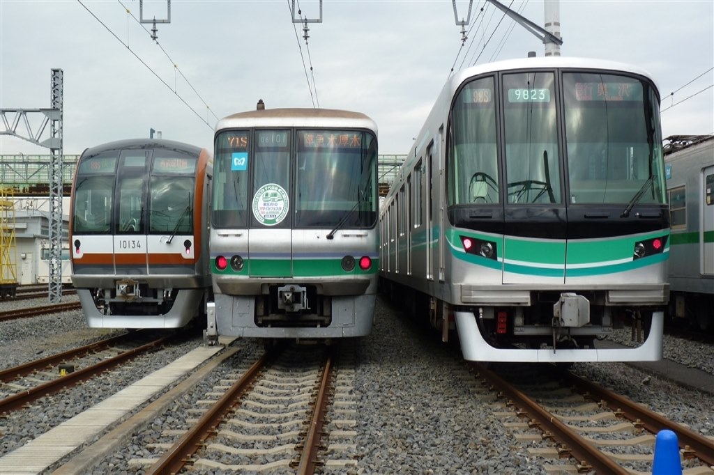 【まあり】 写真Ｌサイズ 竹野) TAKENO SH L判 ﾌﾗﾜ- 3面 156-0032 4531061889298 | 写真