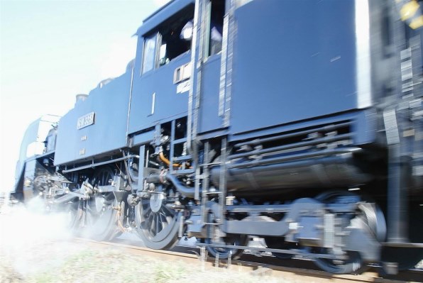 CANON EF28-200mm F3.5-5.6 USM投稿画像・動画 - 価格.com