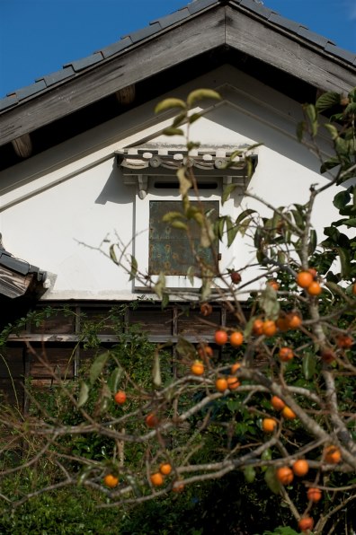 花など得意なジャンルのお写真を見せてください Part9 クチコミ掲示板 価格 Com