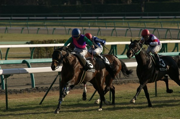 競走馬パネル 太く 第39回宝塚記念 サイレンススズカ