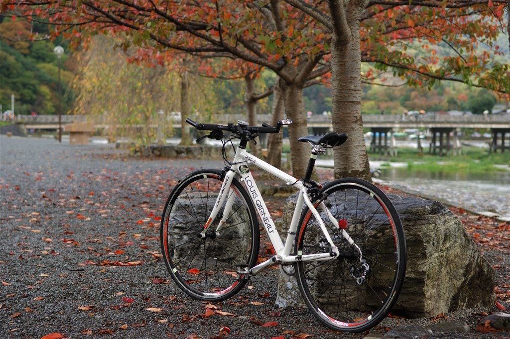 Ai AF Nikkor 50mm F1.4D か AF-S NIKKOR 50mm F/1.4Gか』 ニコン D40