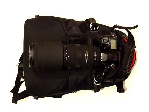 シグマ APO 150-500mm F5-6.3 DG HSM (ペンタックス用)投稿画像・動画 シグマ APO 150-500mm F5-6.3 DG HSM (ペンタックス用)投稿画像・動画