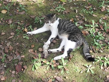 動物写真、撮っちゃいました～☆』 クチコミ掲示板 - 価格.com