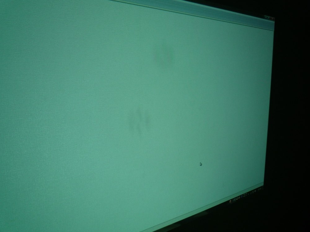 手垢のような黒ずみのようなコブシ大の影が2箇所に映ります 手垢のような黒ずみのようなコブシ大の影が2箇所に映ります