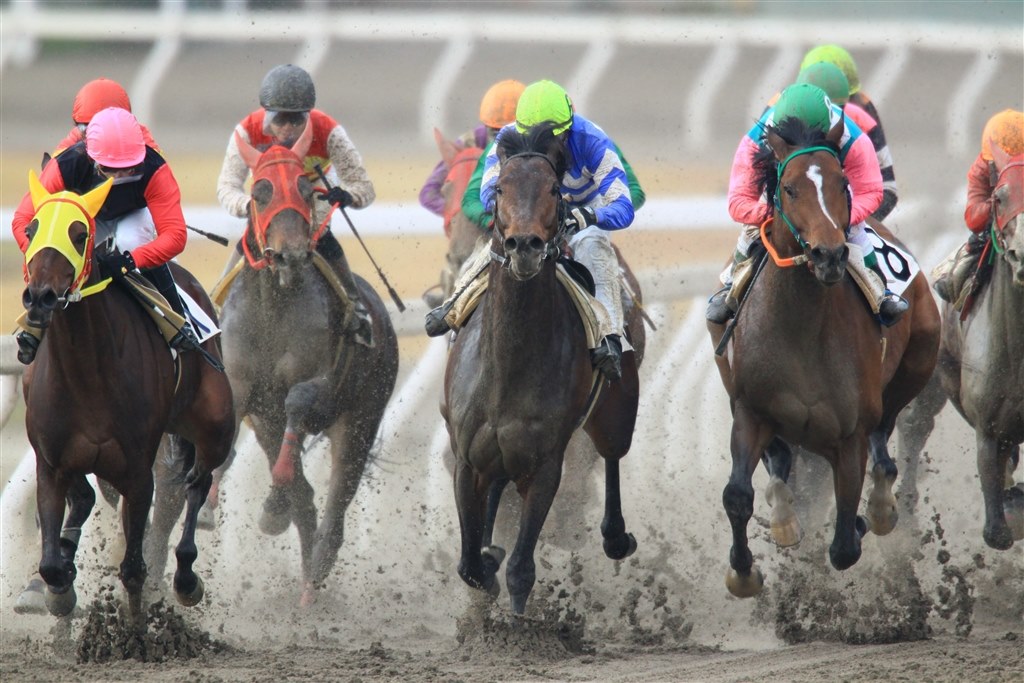 デジタルカメラで撮影しました過去の競馬の写真 競馬写真かんたん撮影講座／おすすめのカメラ・レンズ - araichuu.com