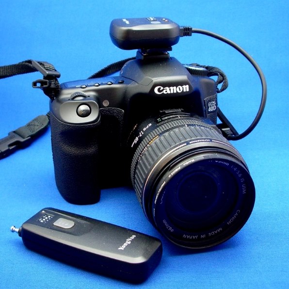ペンタックス Optio S5nで撮影された写真 (掲示板) - 価格.com