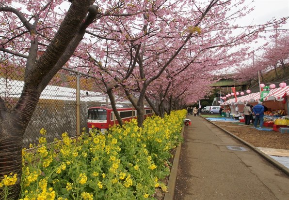 春の横浜散歩路>>ご一緒しませんか～♪♪』 クチコミ掲示板 - 価格.com