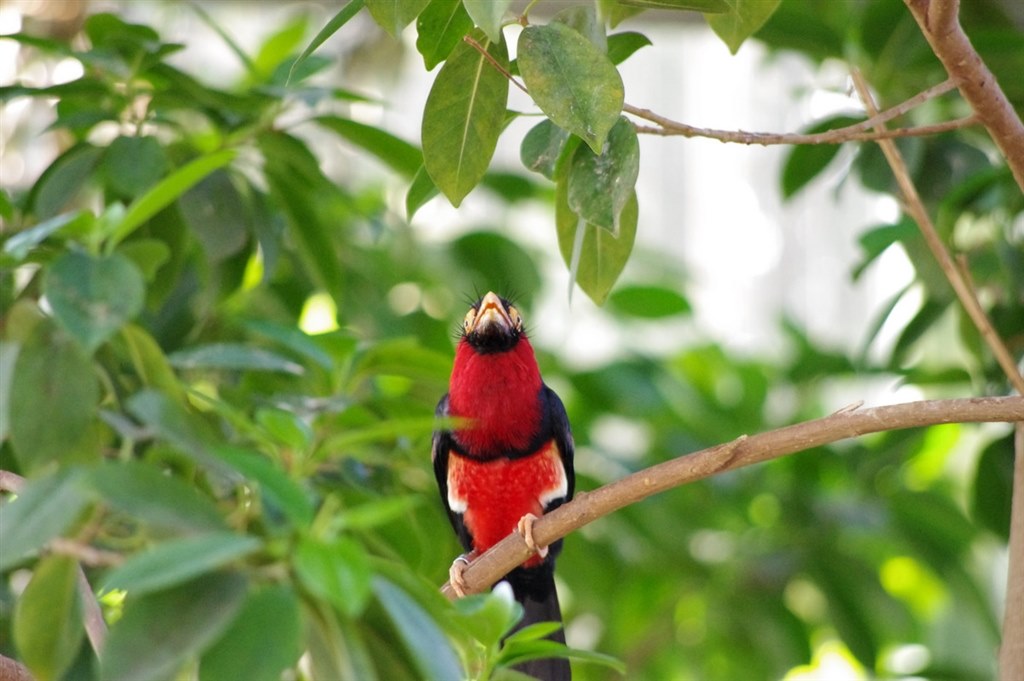 動物園で撮ってきました！』 ペンタックス PENTAX K-x ダブルズーム