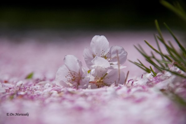 桃の節句ちょっと進歩 非売品→完成！別の場所にアップしました