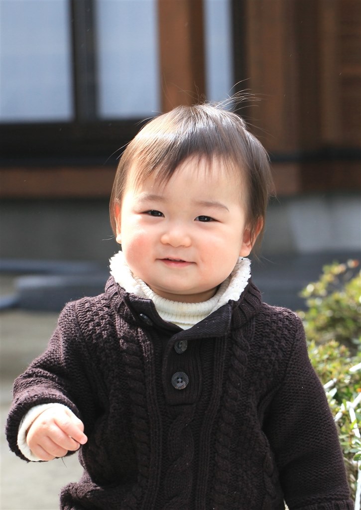 スナップもいいですね。』 CANON EF100mm F2.8L マクロ IS USM の