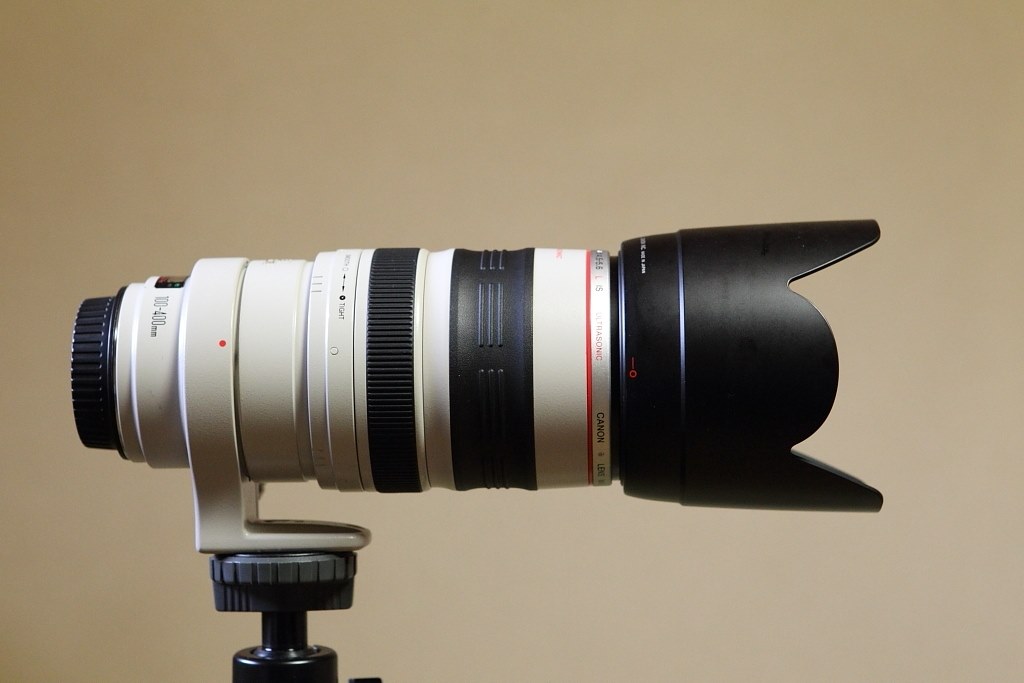 白くて花形のレンズフードを付けたいのですが』 CANON EF100 白くて花形のレンズフードを付けたいのですが』 CANON EF100