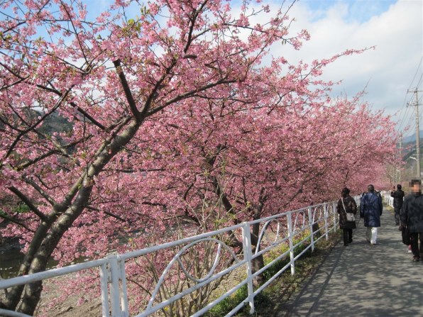 CANON PowerShot A1100 IS投稿画像・動画 - 価格.com