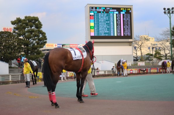 駆けろ大地を 夢を乗せて クチコミ掲示板 価格 Com