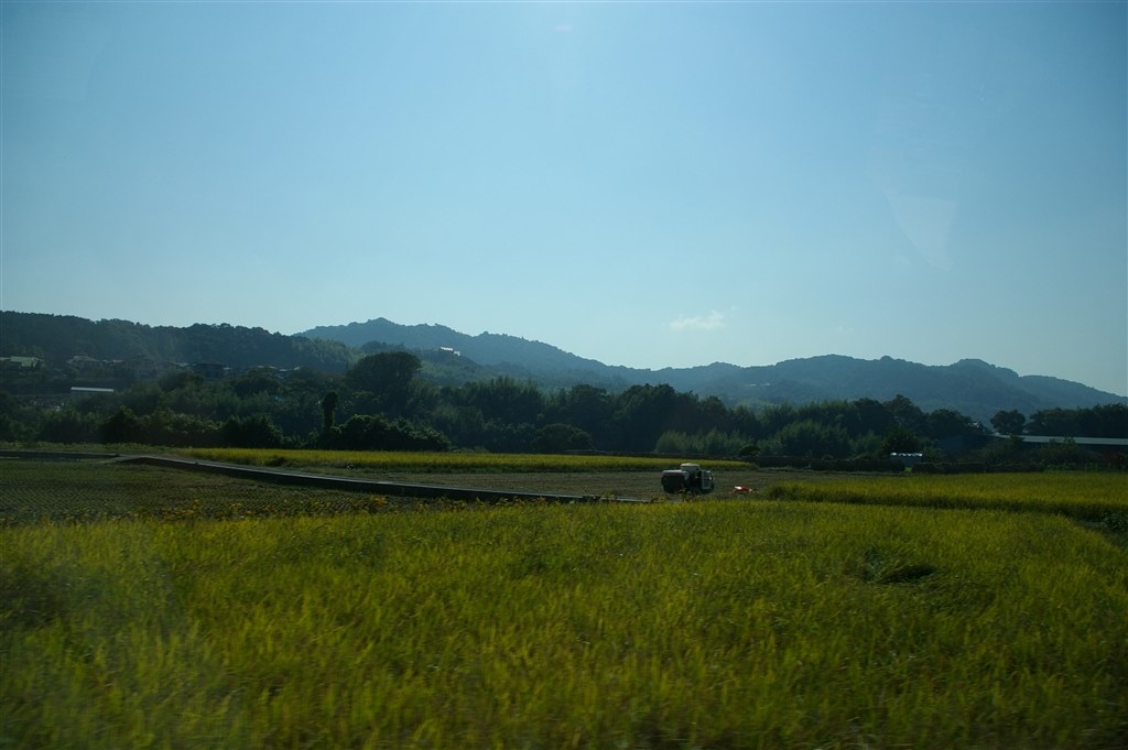 完売 天然樫の木で作成【森を感じられる切り株台】ミニテーブル/切り株