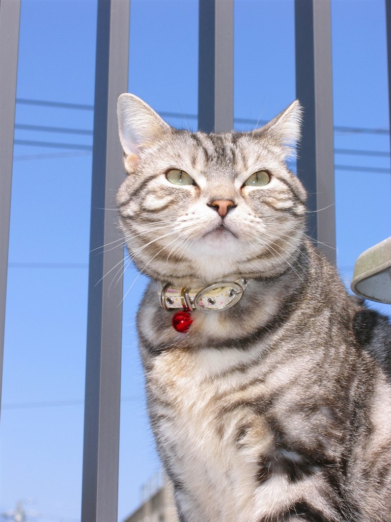 使用出来るCFカードの容量教えて下さい。』 CANON PowerShot Pro1 の