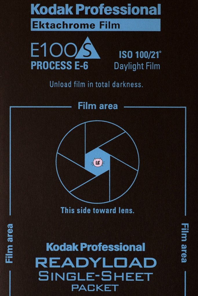 真作】F4安藤絵流【蒼い瞳のねこ】gallery購入品 表裏サイン有り