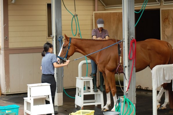 人と馬 それは永遠の友達（Ⅶ）』 クチコミ掲示板 - 価格.com