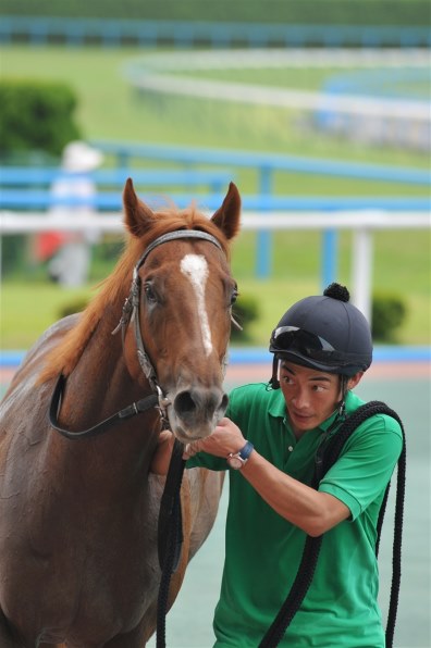 人と馬 それは永遠の友達（Ⅶ）』 クチコミ掲示板 - 価格.com