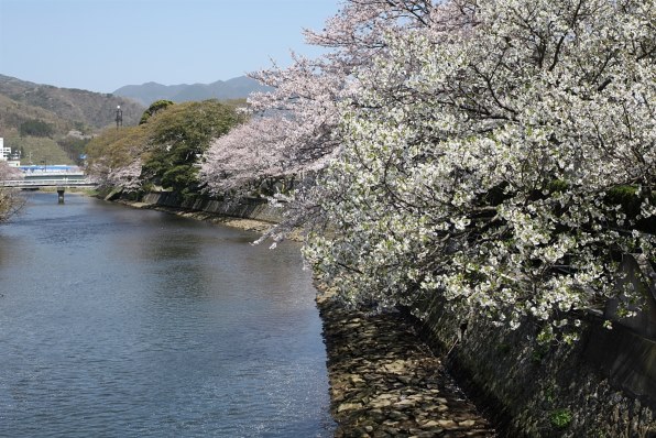 人気特販21－401　桜貼廻り縁　長期在庫品 丸棒