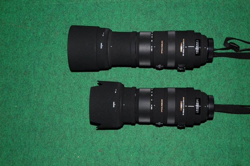 良品！SIGMA 50-500mm 4.5-6.3 APO HSM Nikon