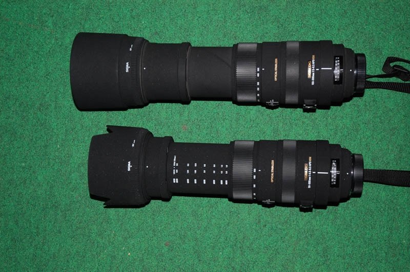 SIGMA 50~500mmF4.5ー6.3 APO DG HSMニコン用-